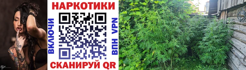 Виды наркоты Тейково A PVP Канабис Cocaine Мефедрон Метадон ГАШ