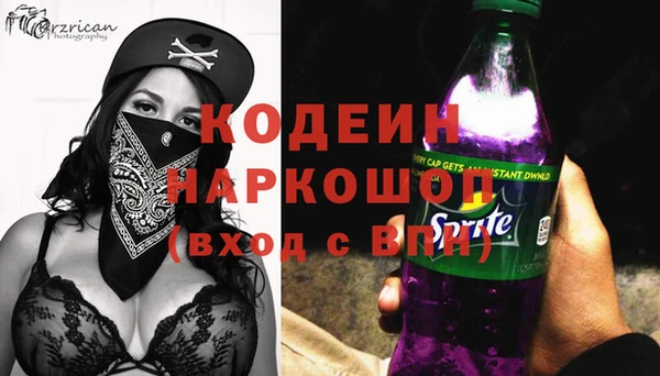 прущий лед Арсеньев